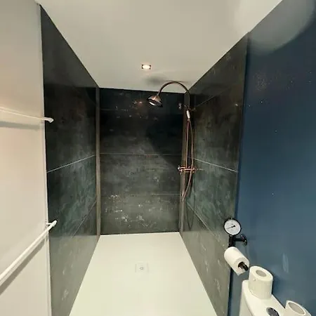 T1 4 Pers Clim Parking Prive Apartament *