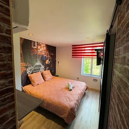 Apartament T1 4 Pers Clim Parking Prive Épinal