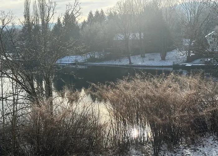 T1 4 Pers Clim Parking Prive Épinal